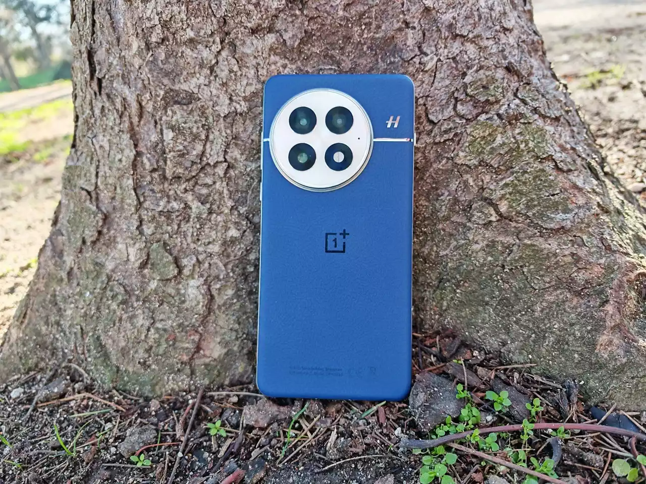 OnePlus 13